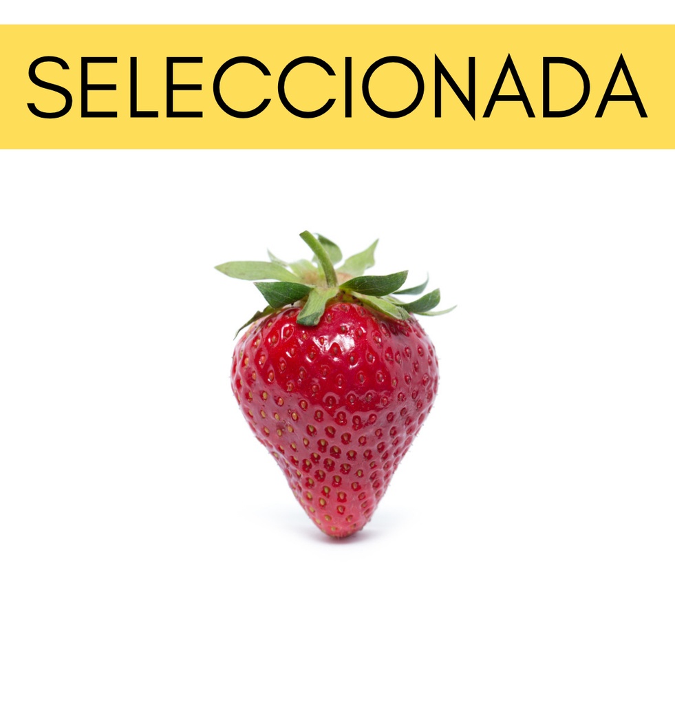 Frutilla seleccionada x kg