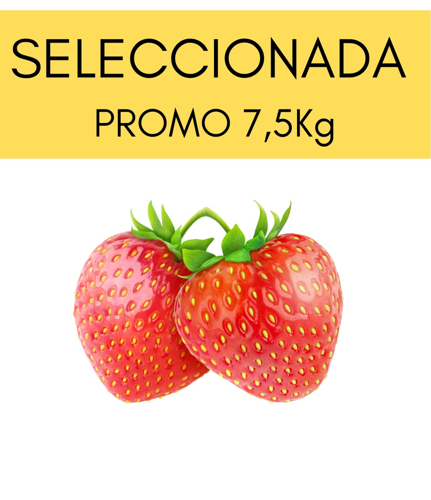 Frutillas Seleccionadas caja 6,5kg