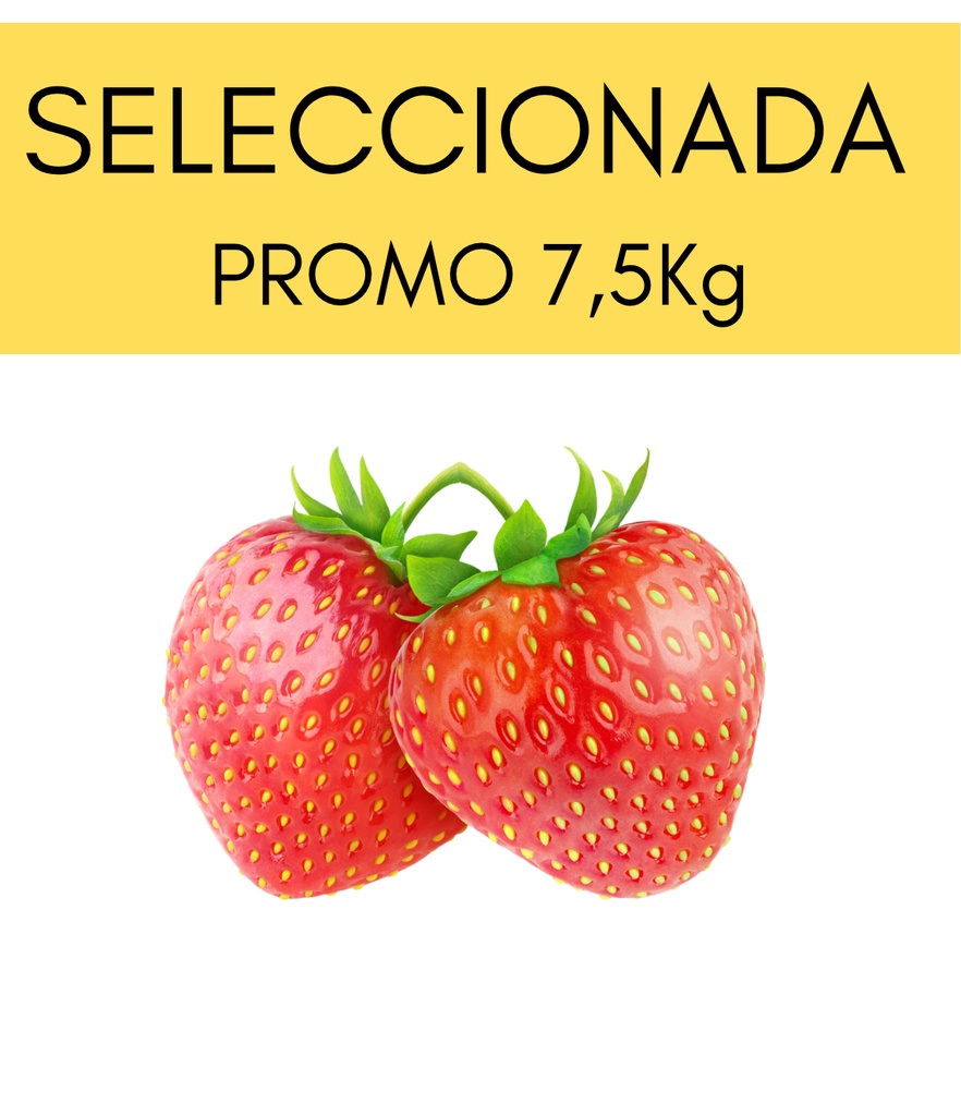 Promo Frutillas Mayinas Seleccionadas 7,5kg