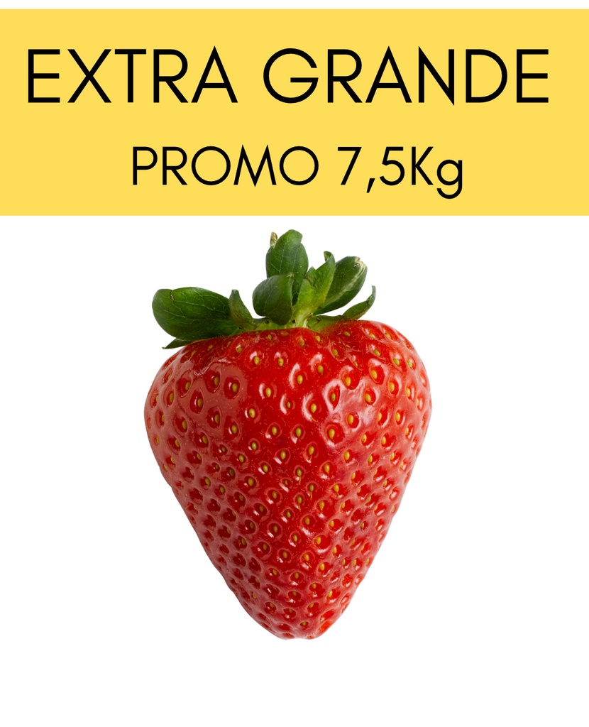 Promo Frutillas Mayinas Extra Grandes 7,5kg