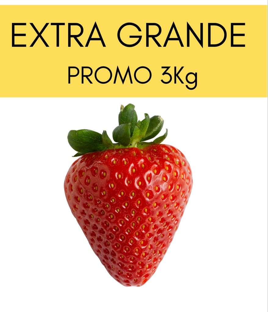 Frutillas Extra Grandes 3kg
