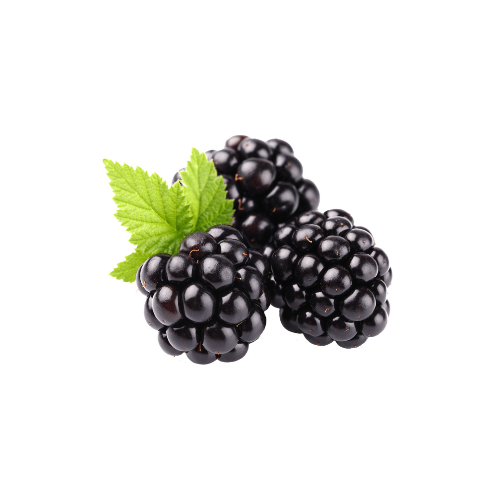 Moras  kg