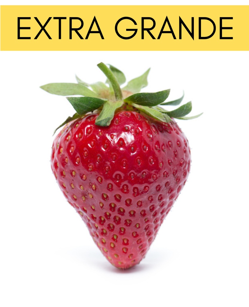 Frutilla Extra Grande kg