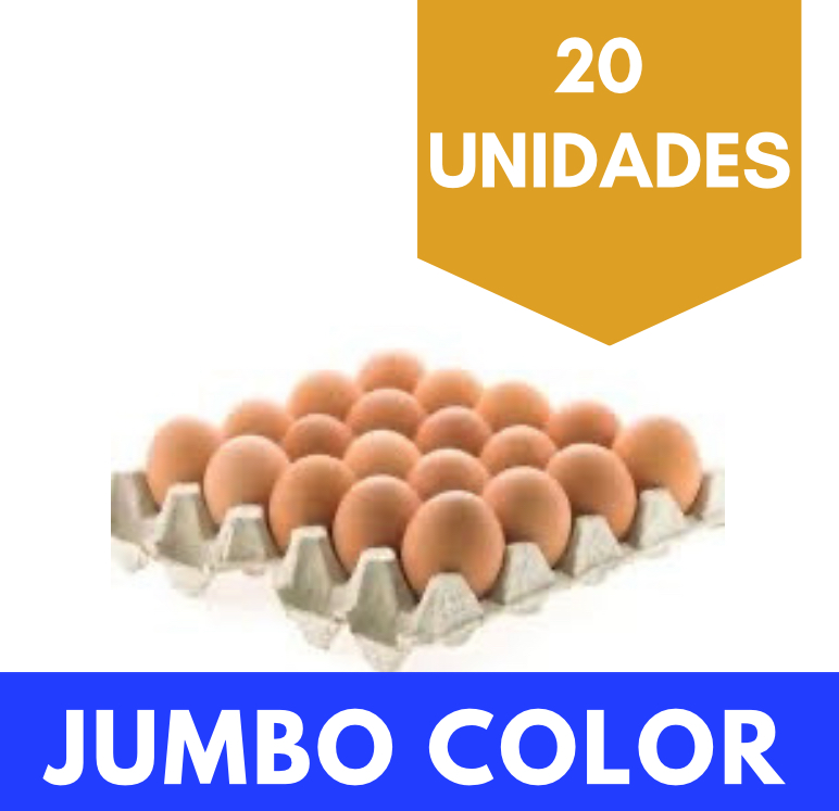 Huevos Jumbo Color Chillan 20 unidades