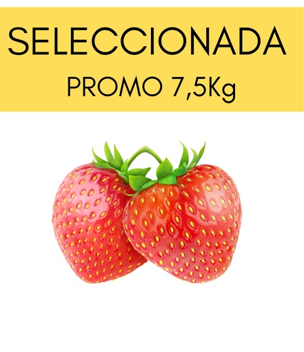 Frutillas Seleccionadas caja 6,5kg