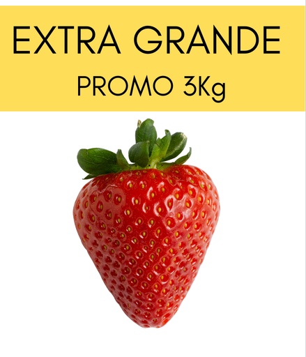Frutillas Extra Grandes 3kg
