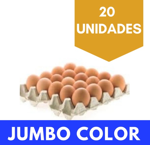 Huevos Jumbo Color Chillan 20 unidades